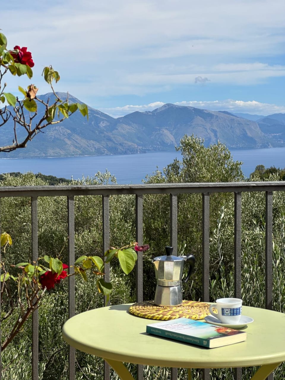 View (from property/room)