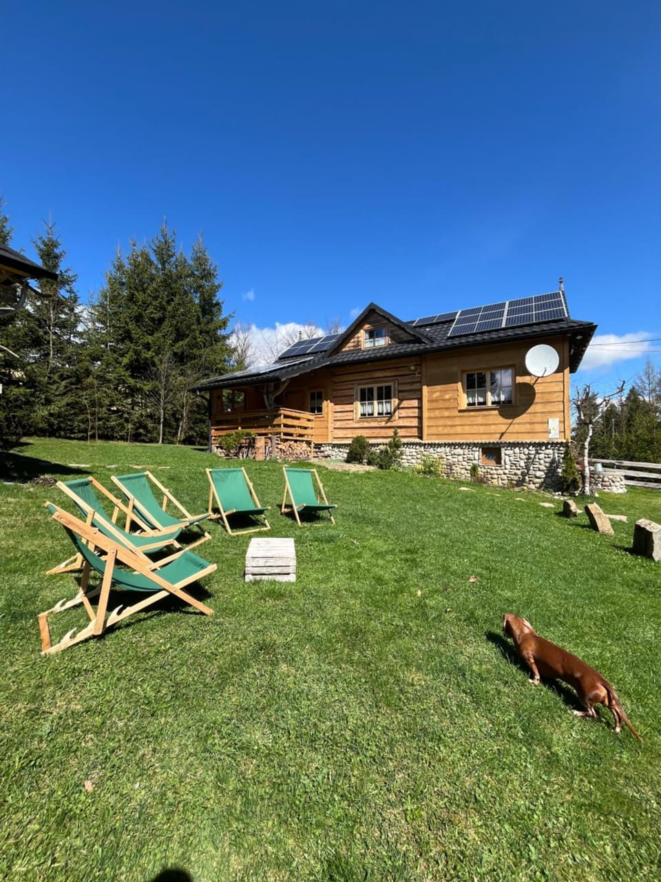 Property building, Spring, Day, Natural landscape, Garden, Pets, Garden view, sunbed