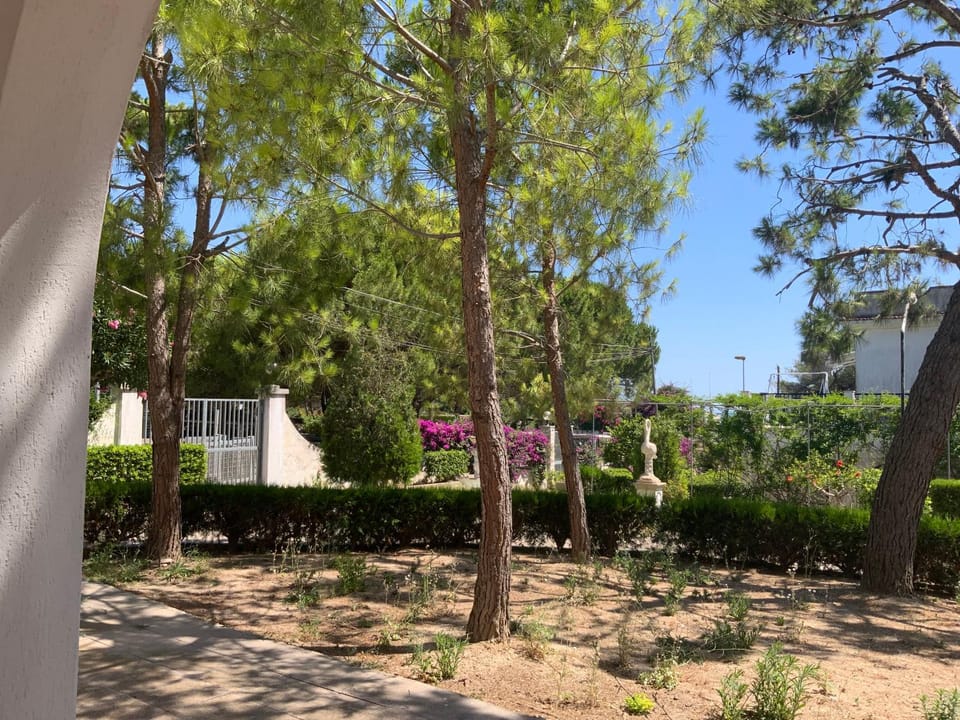 Garden view