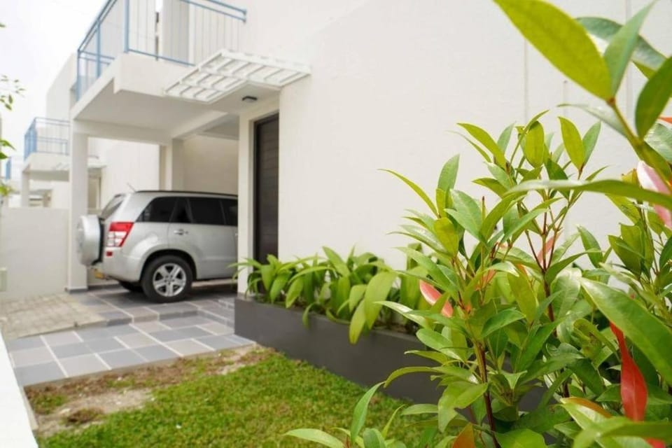 Property building, Garden, Garden, Garden view