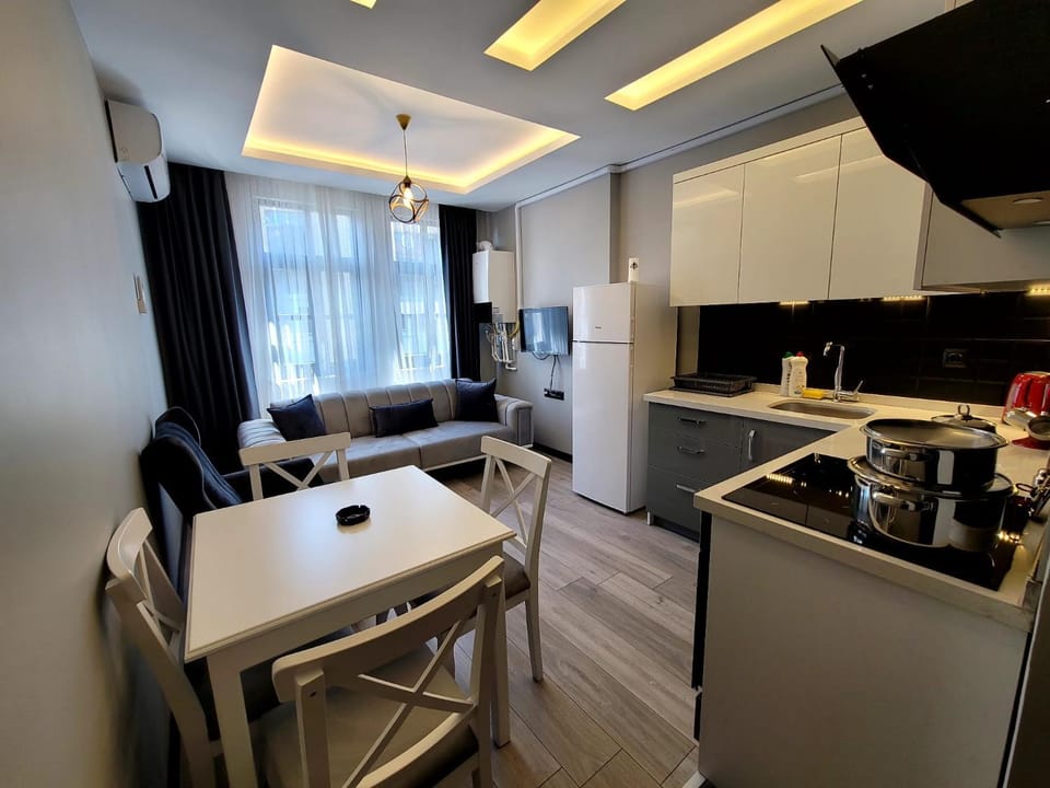 TV and multimedia, Coffee/tea facilities, Kitchen or kitchenette, Living room, Seating area, Dining area, minibar, oven, pet friendly, stove, toaster