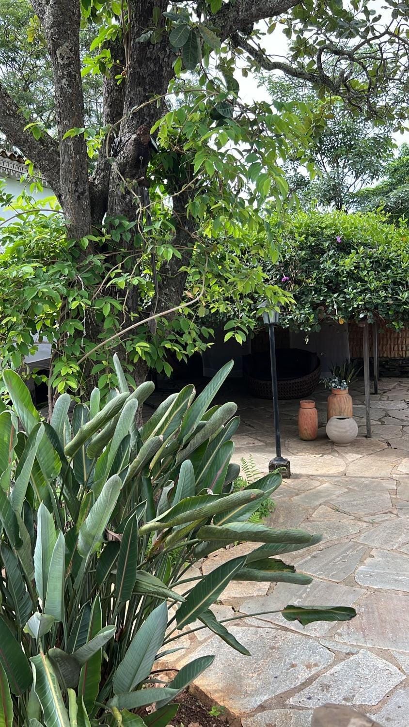 Garden, Garden view