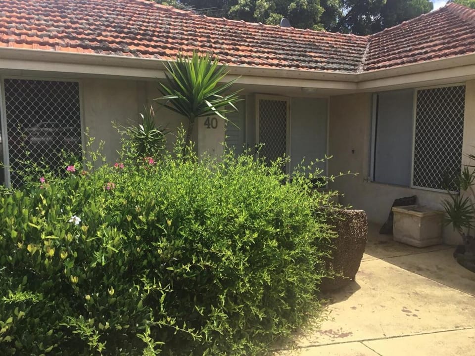 Garden, Garden view