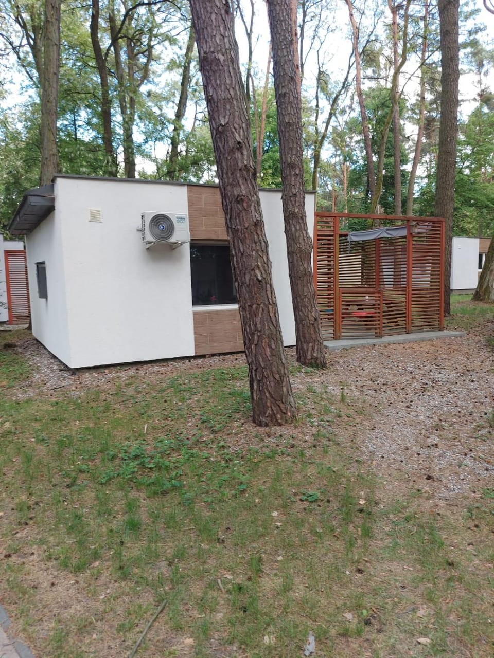 W sosnowym lesie House in Poland