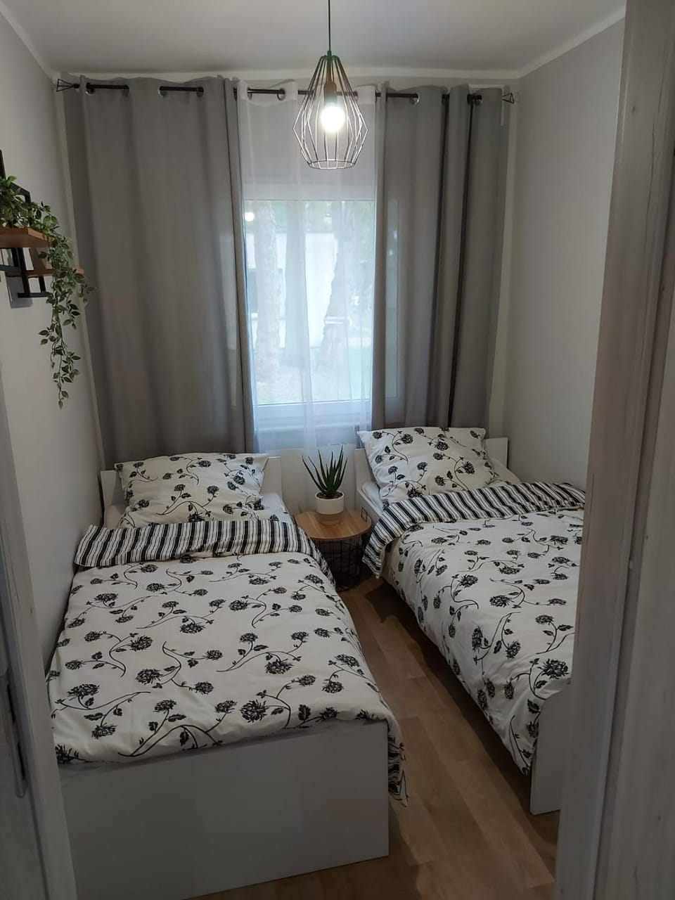 W sosnowym lesie House in Poland