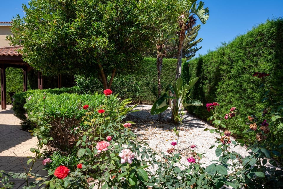 Spring, Day, Garden, Garden view