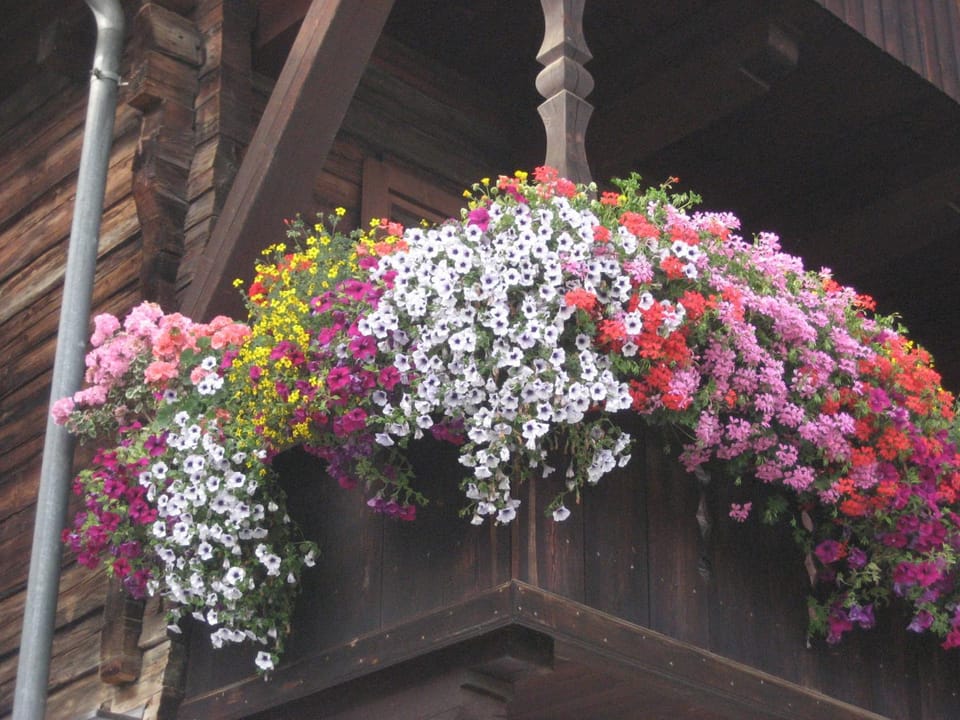 Klammer Gabi Apartment in Tyrol