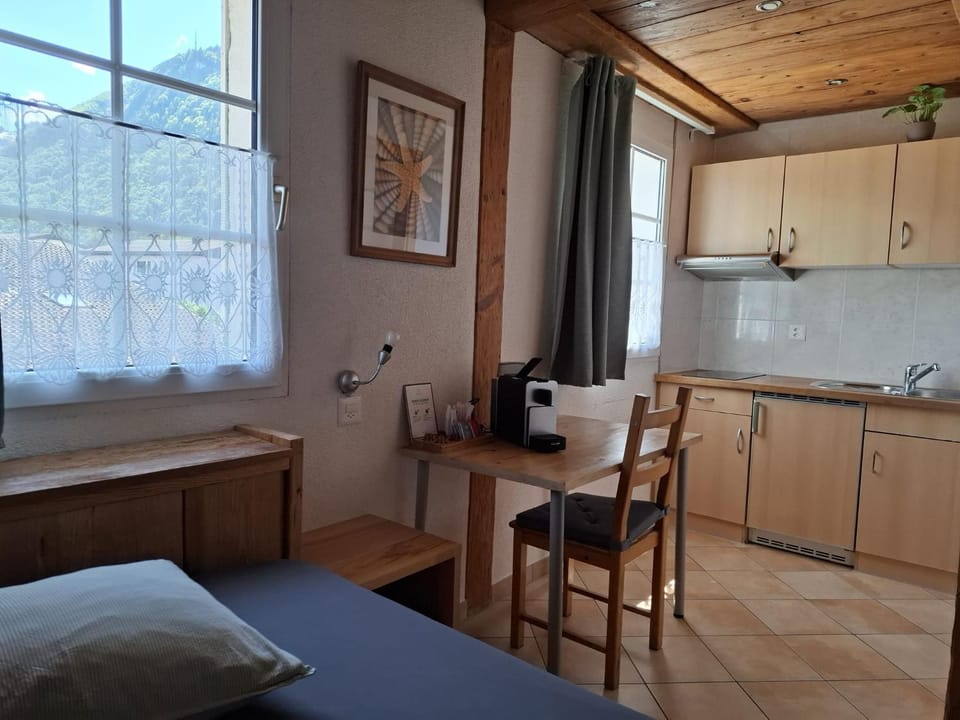 Photo of the whole room, Dining area, stove