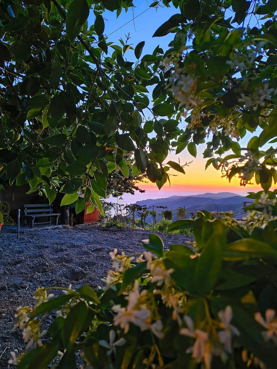 Il Ligustro Bed and Breakfast in Campania