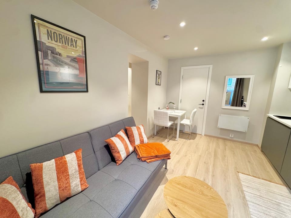 Smart & Central - New Renovated Apartment in Oslo