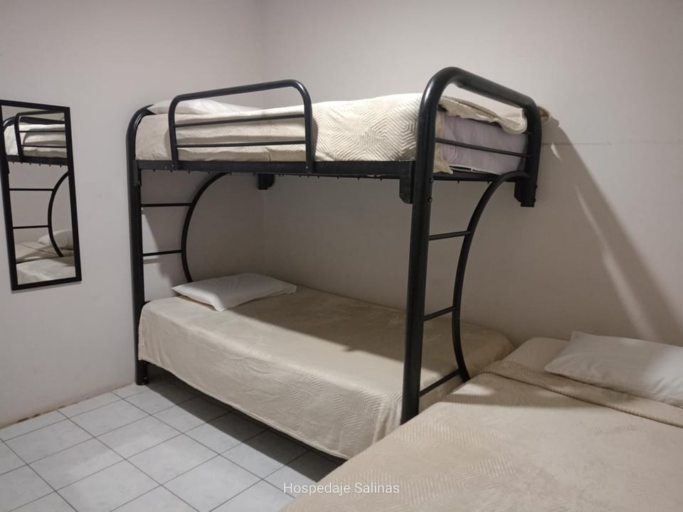 Bed, Photo of the whole room, Bedroom, bunk bed