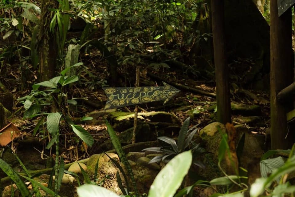 Garden, Lobby or reception, Decorative detail