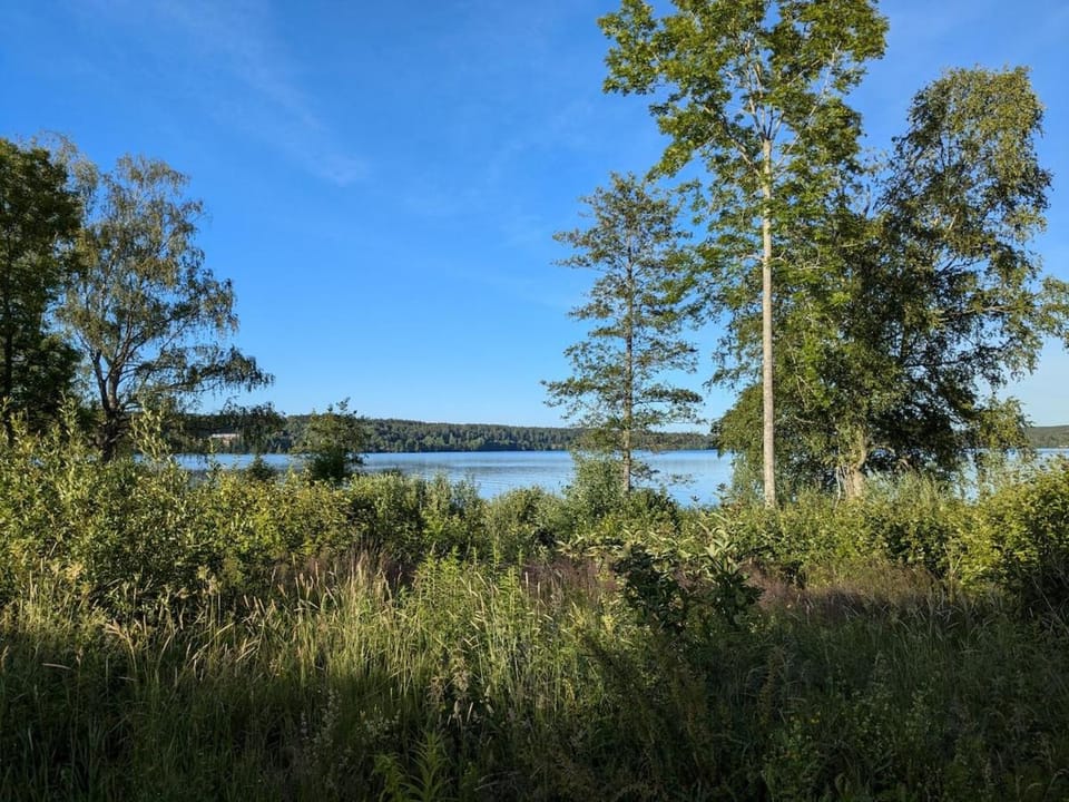 Spring, Natural landscape, Lake view