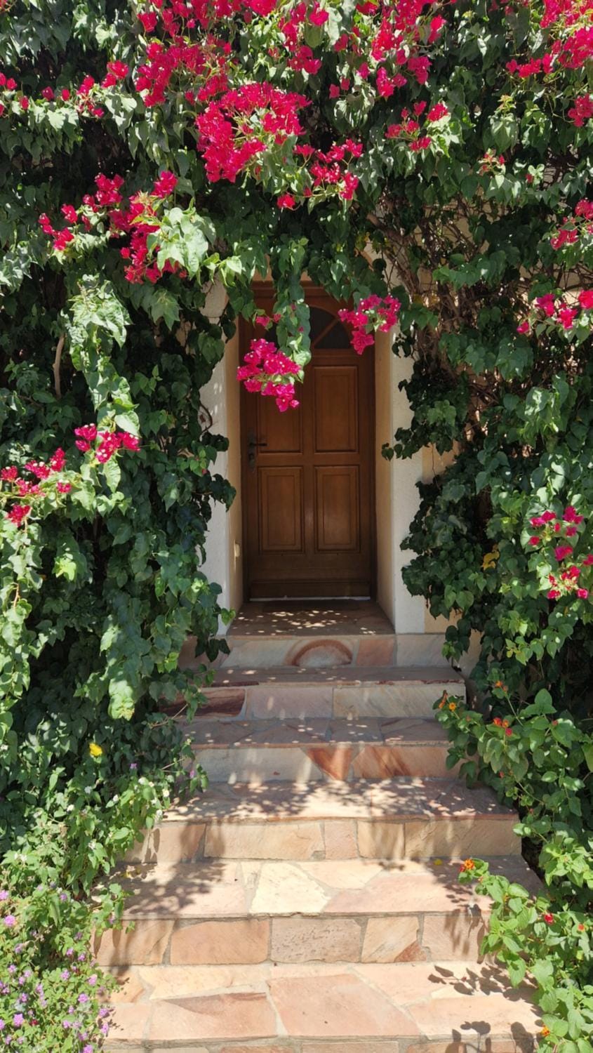 Patio, Balcony/Terrace