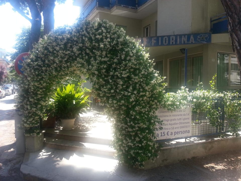 Patio, Facade/entrance, Decorative detail