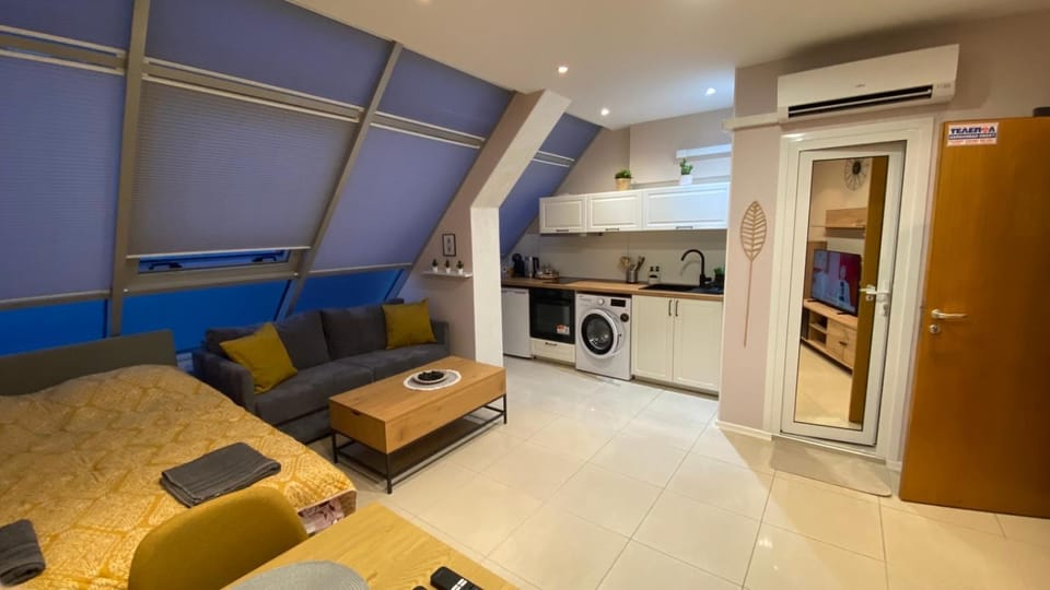 Bed, Kitchen or kitchenette, Living room