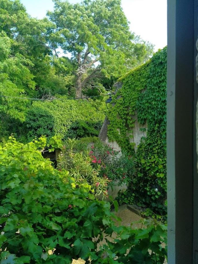 Quiet street view, Inner courtyard view