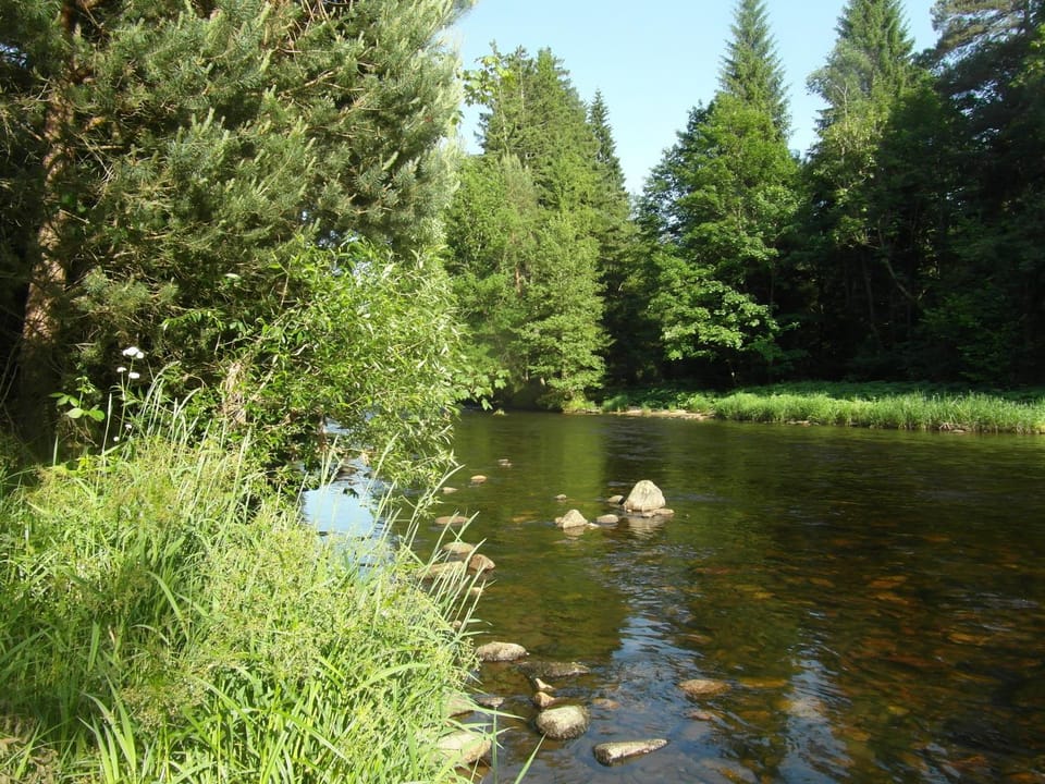 Natural landscape, Beach, River view