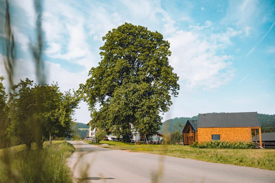 Property building, Street view