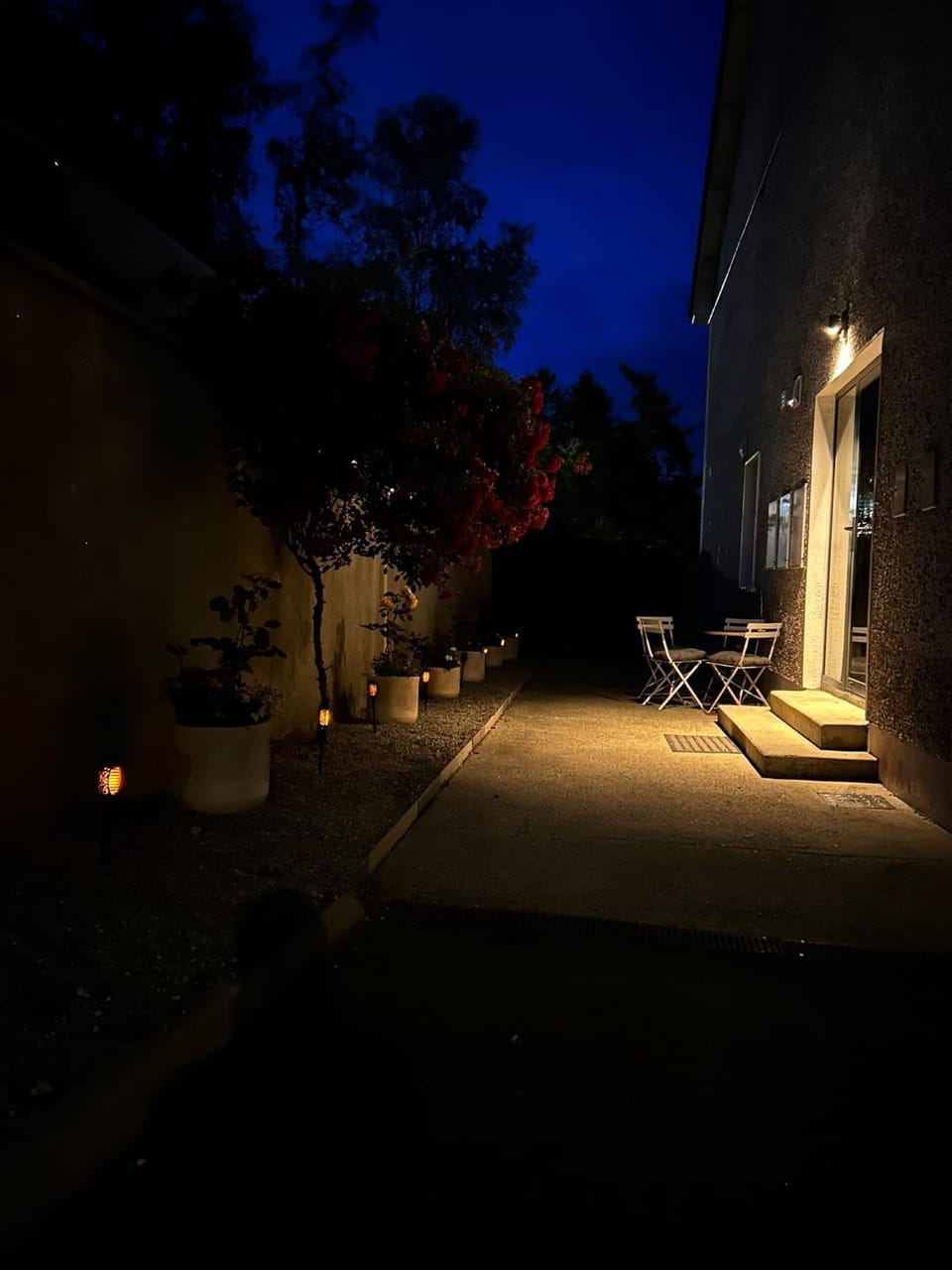 Patio, Garden