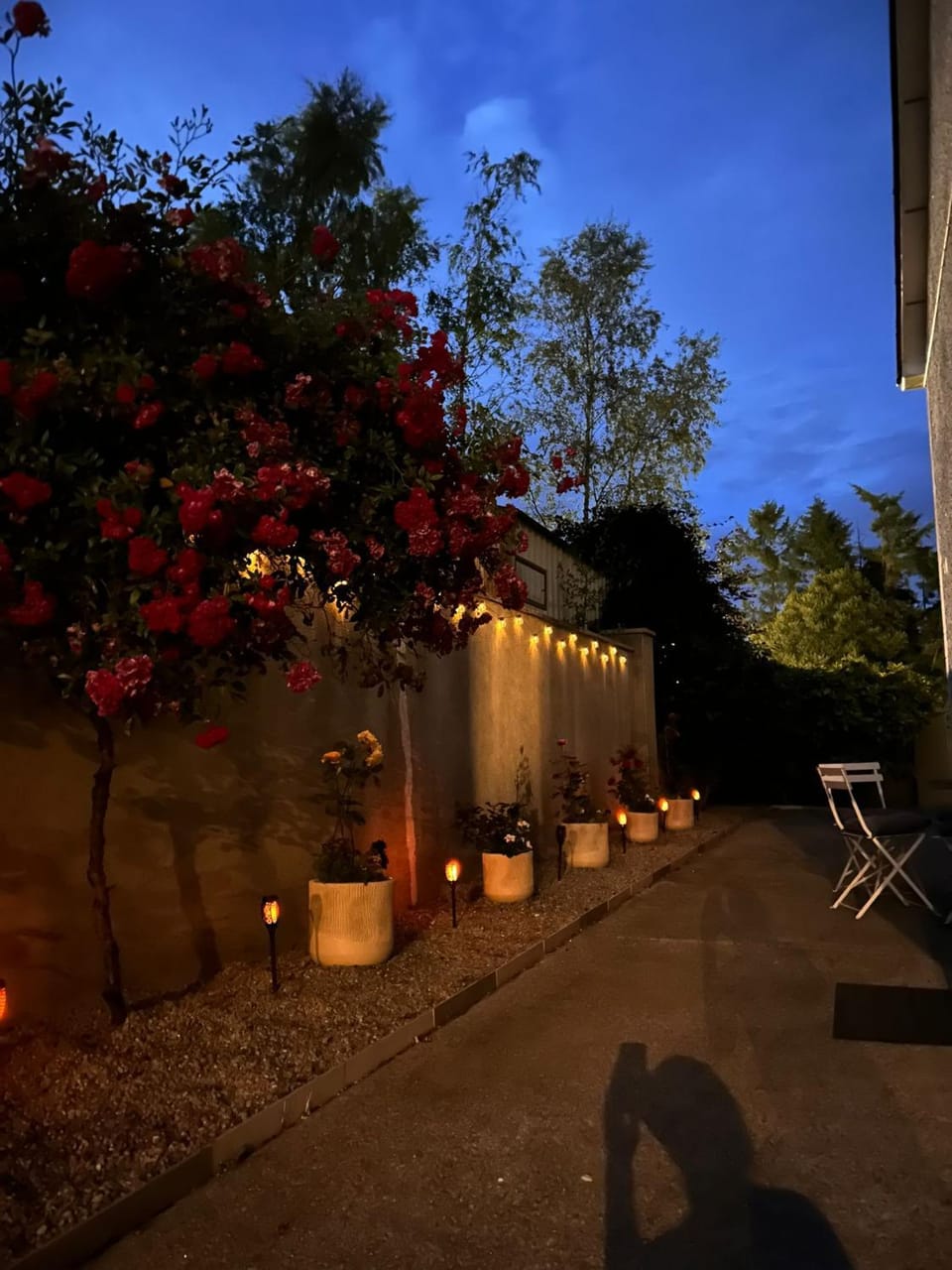Patio, Garden