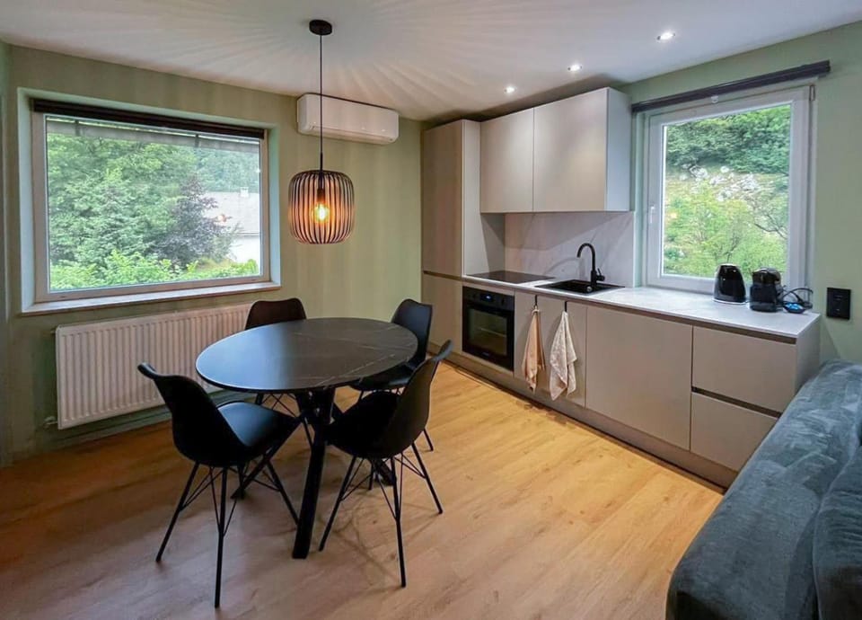 Kitchen or kitchenette, Dining area