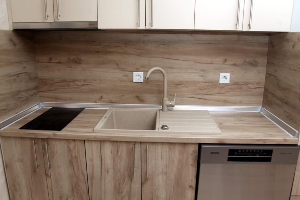 Kitchen or kitchenette, dishwasher, stove