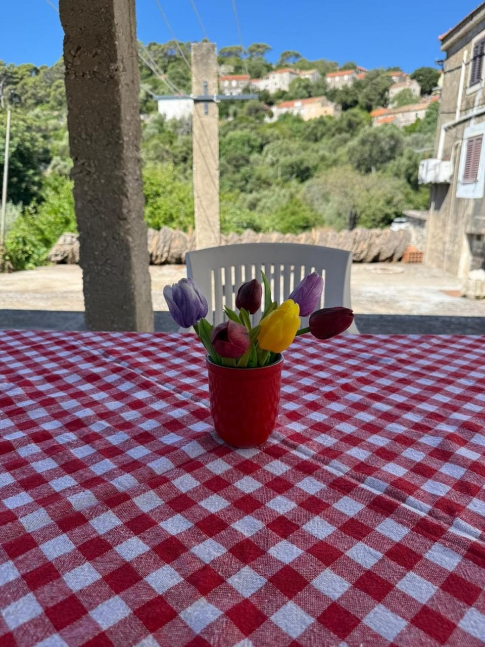 Apartman Desa Babino zlato Apartment in Dubrovnik-Neretva County