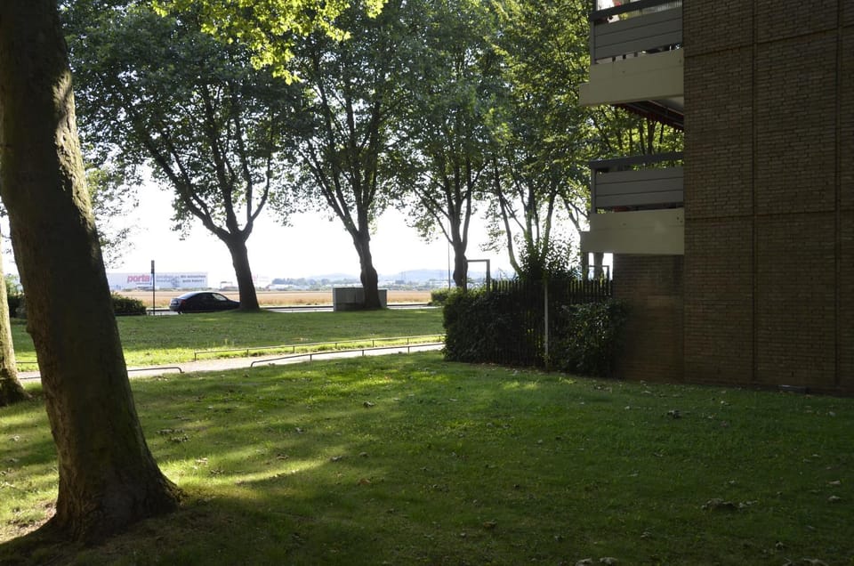 Day, Natural landscape, Garden, Garden view