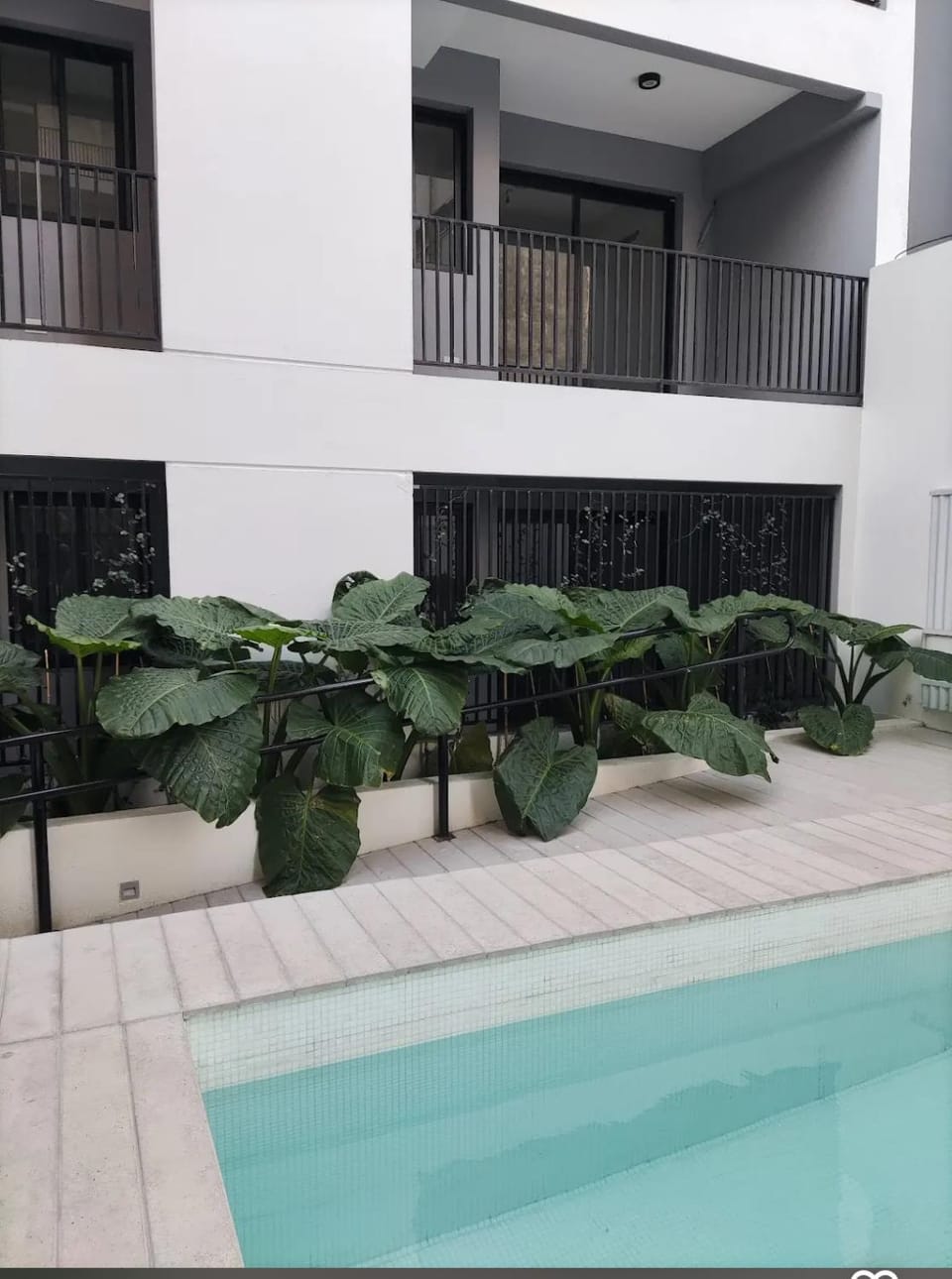Garden, Pool view, Swimming pool