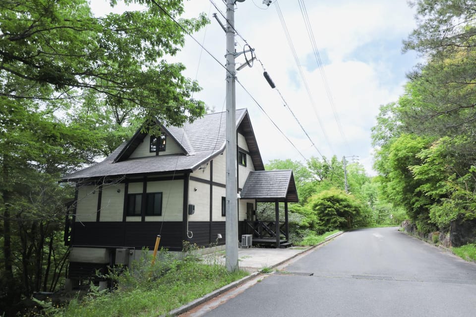 Spring, Natural landscape, Street view