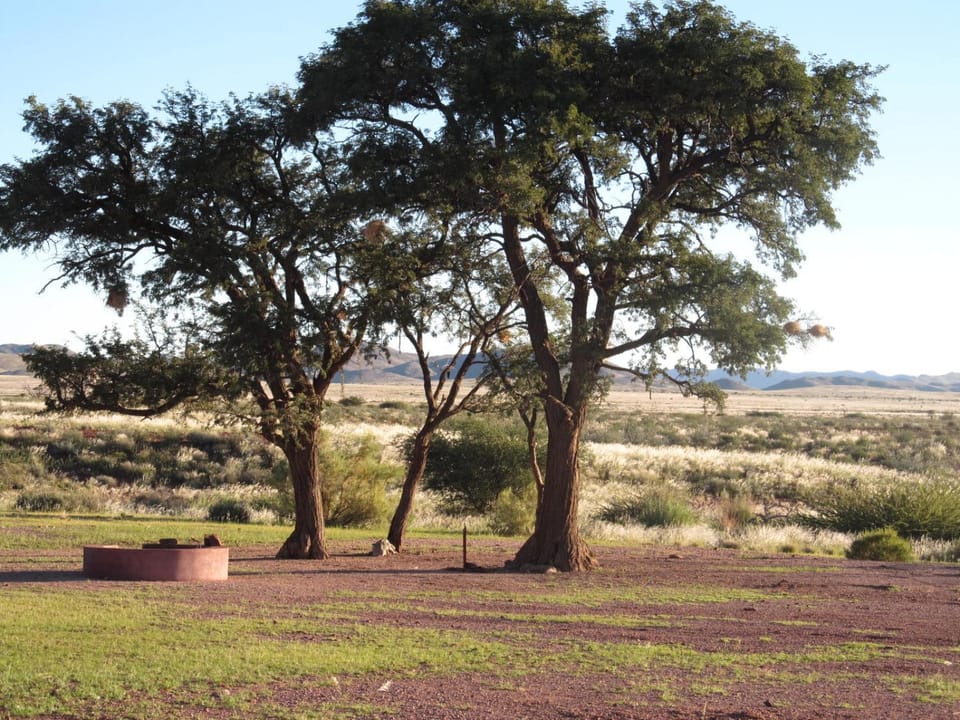 Natural landscape