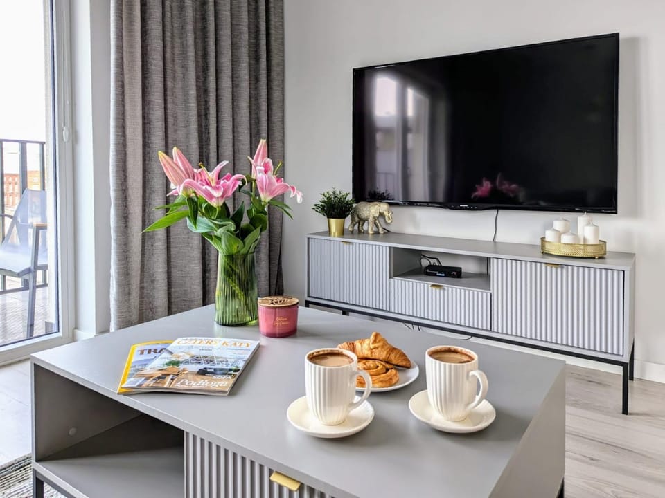 TV and multimedia
