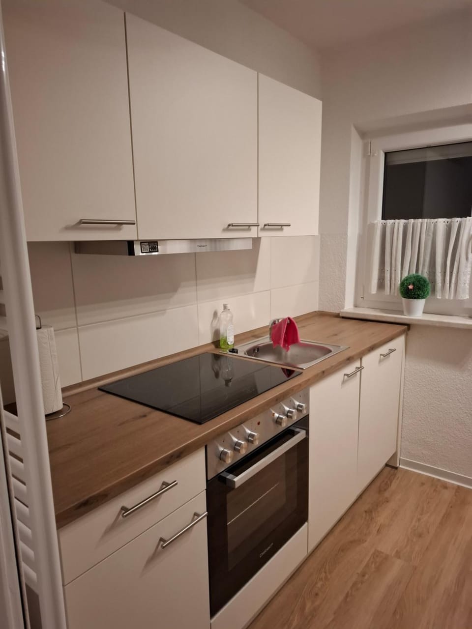 Kitchen or kitchenette, dishwasher