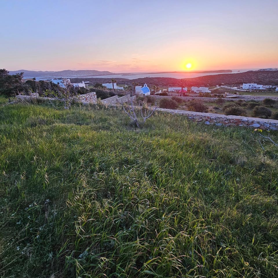 Natural landscape, Garden, Sea view, Sunset