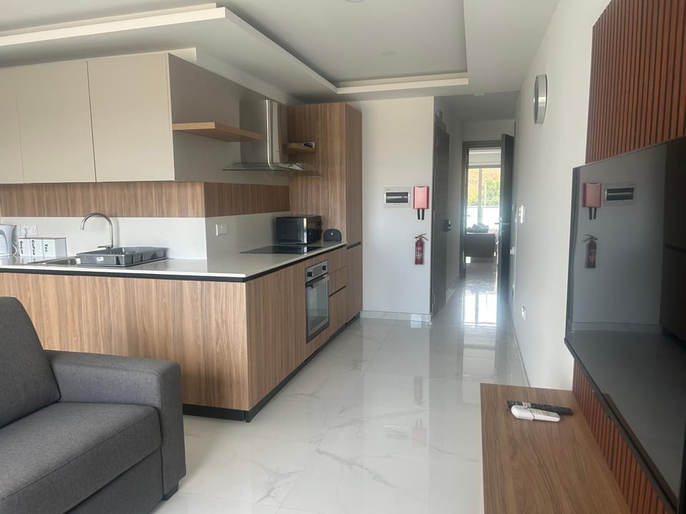 Living room, kitchen