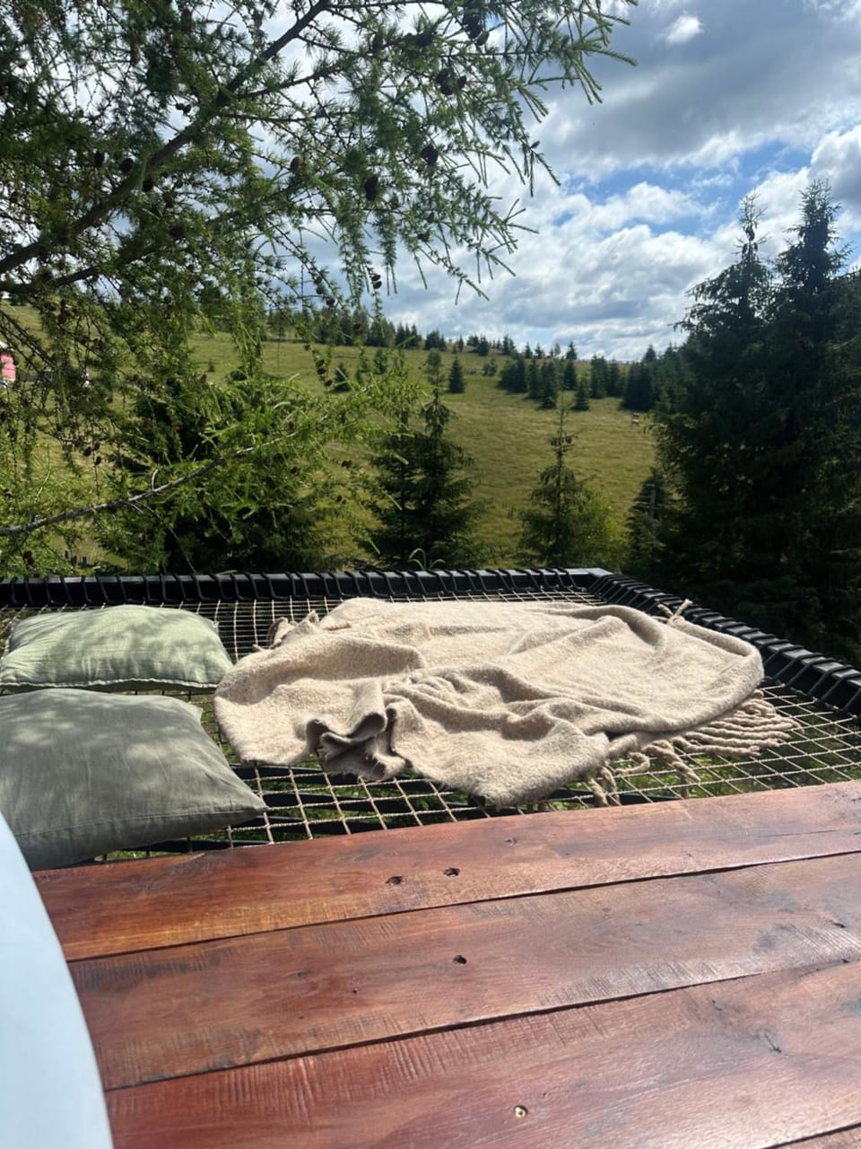 Cabana DenZ Chalet in Cluj County