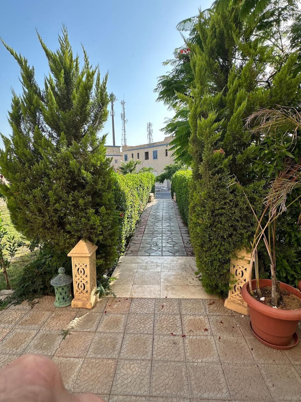 Garden