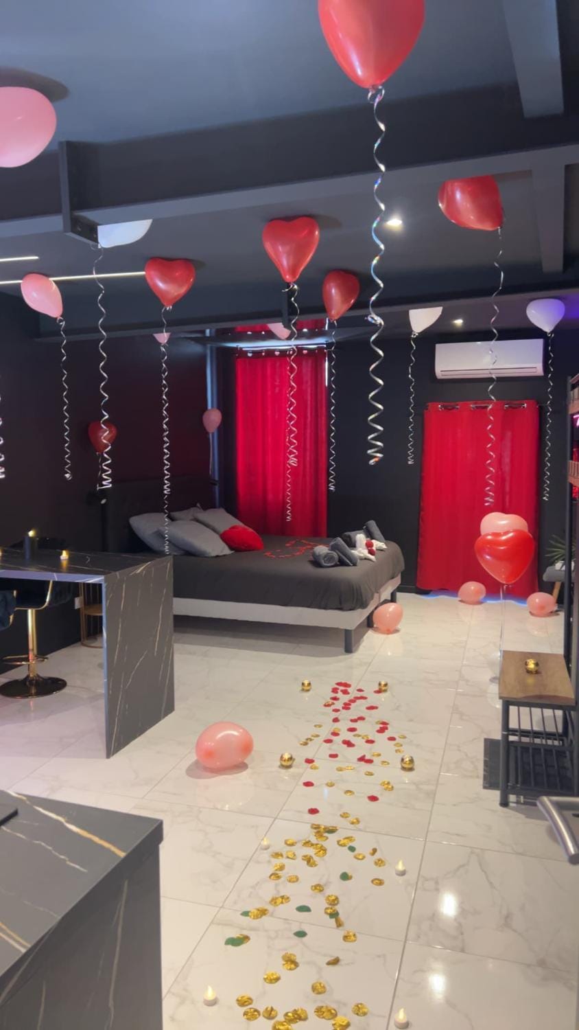 Luxueux appartement avec jacuzzi dans le centre de Macon ,snacking et cadeau Apartment in Bourgogne-Franche-Comté