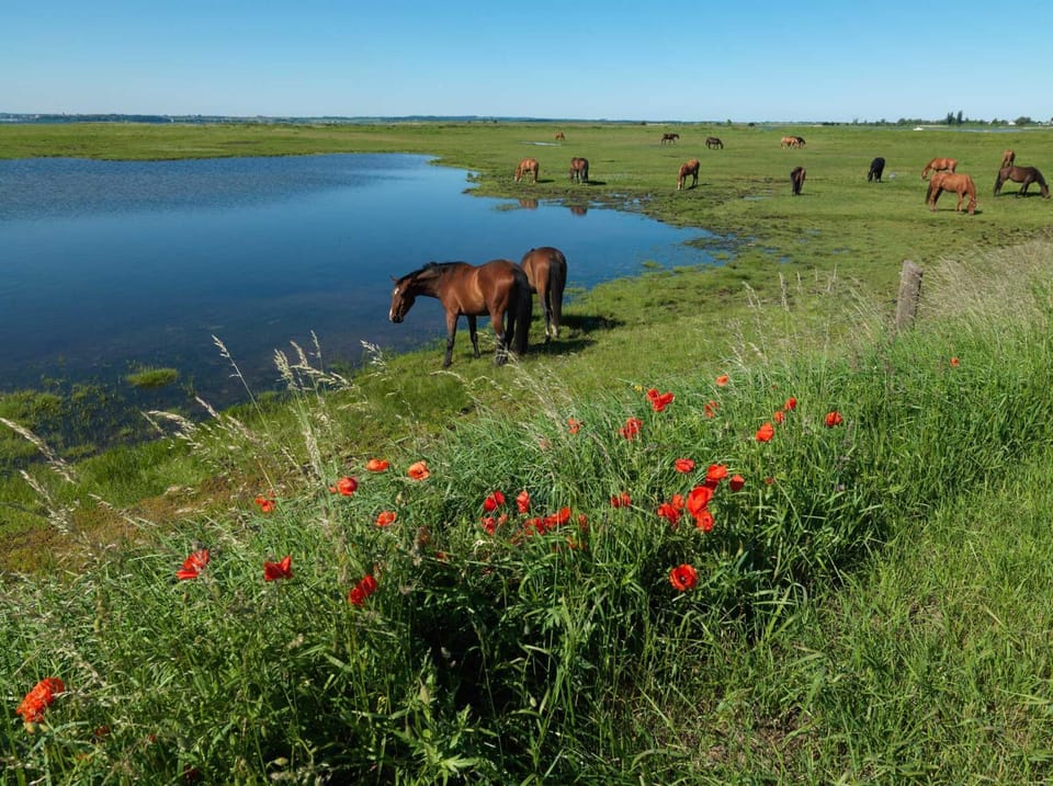 Natural landscape