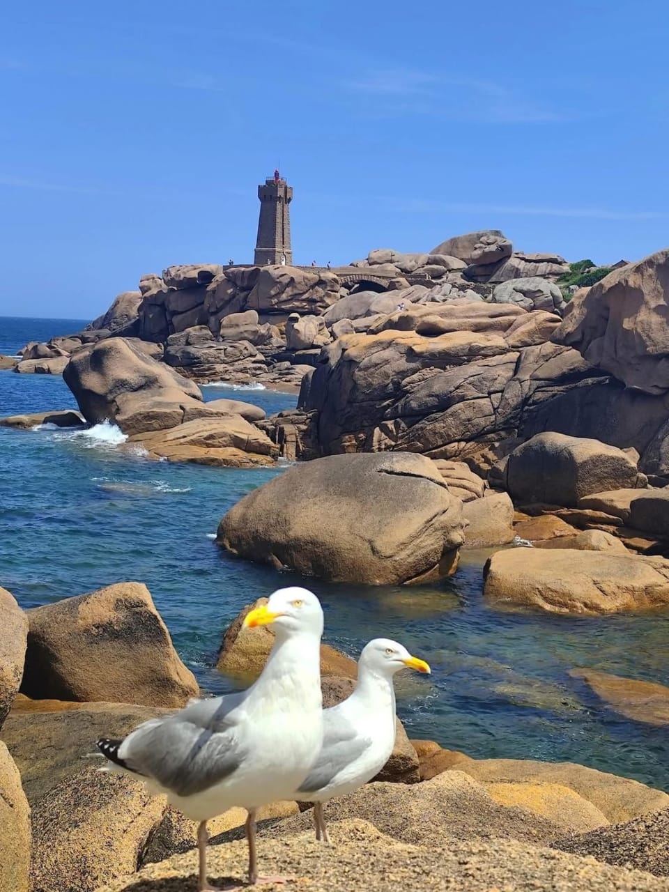 Appartement vue mer, GR 34 et plage au pied ! Apartment in Plougasnou