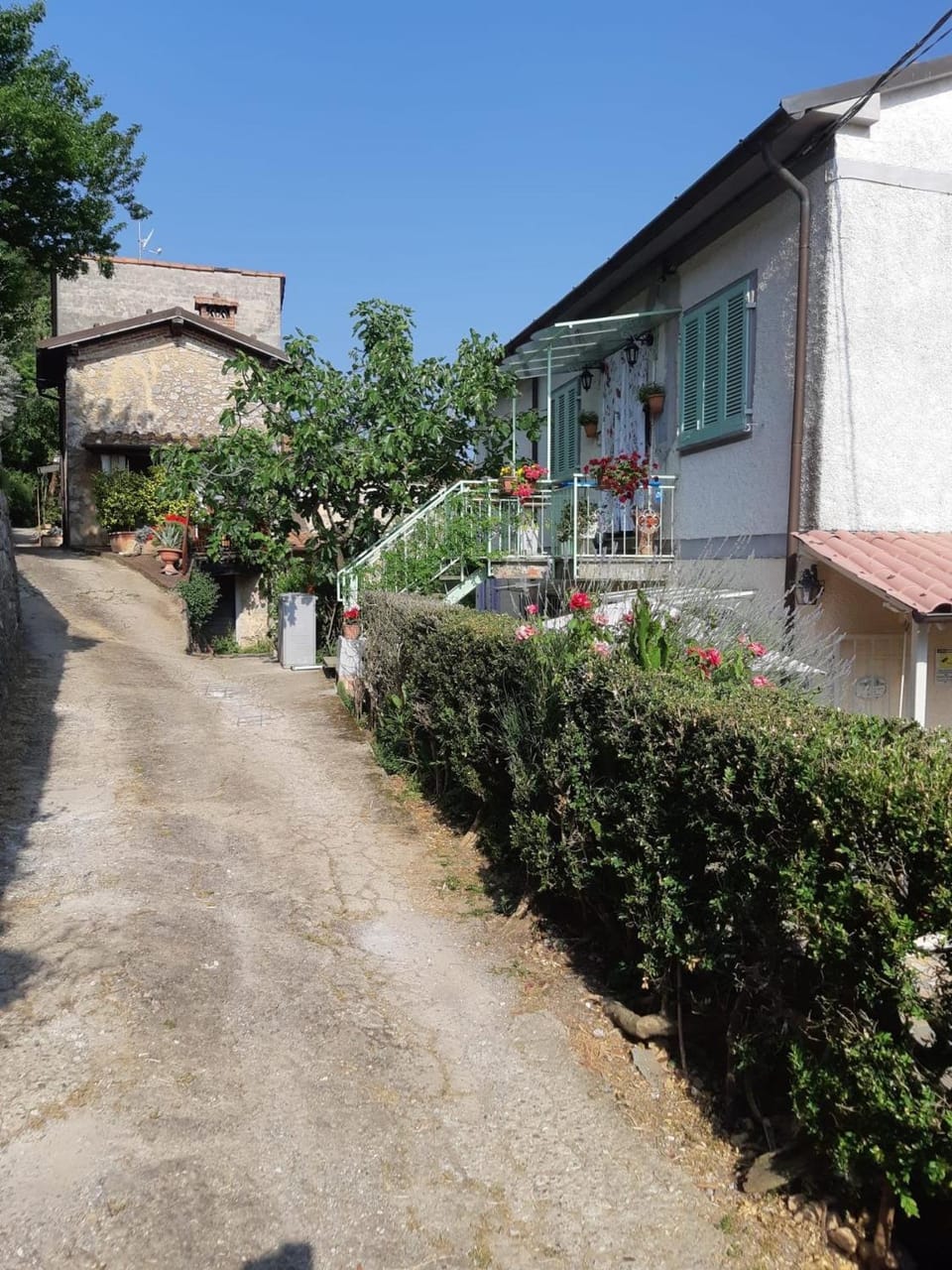Property building, Day