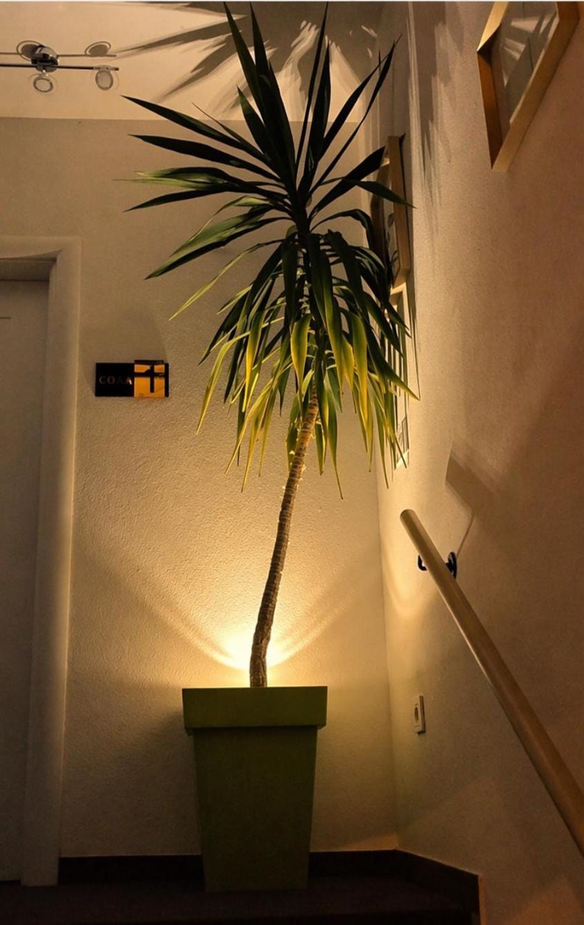 Staša Apartmani Apartment in Serbia