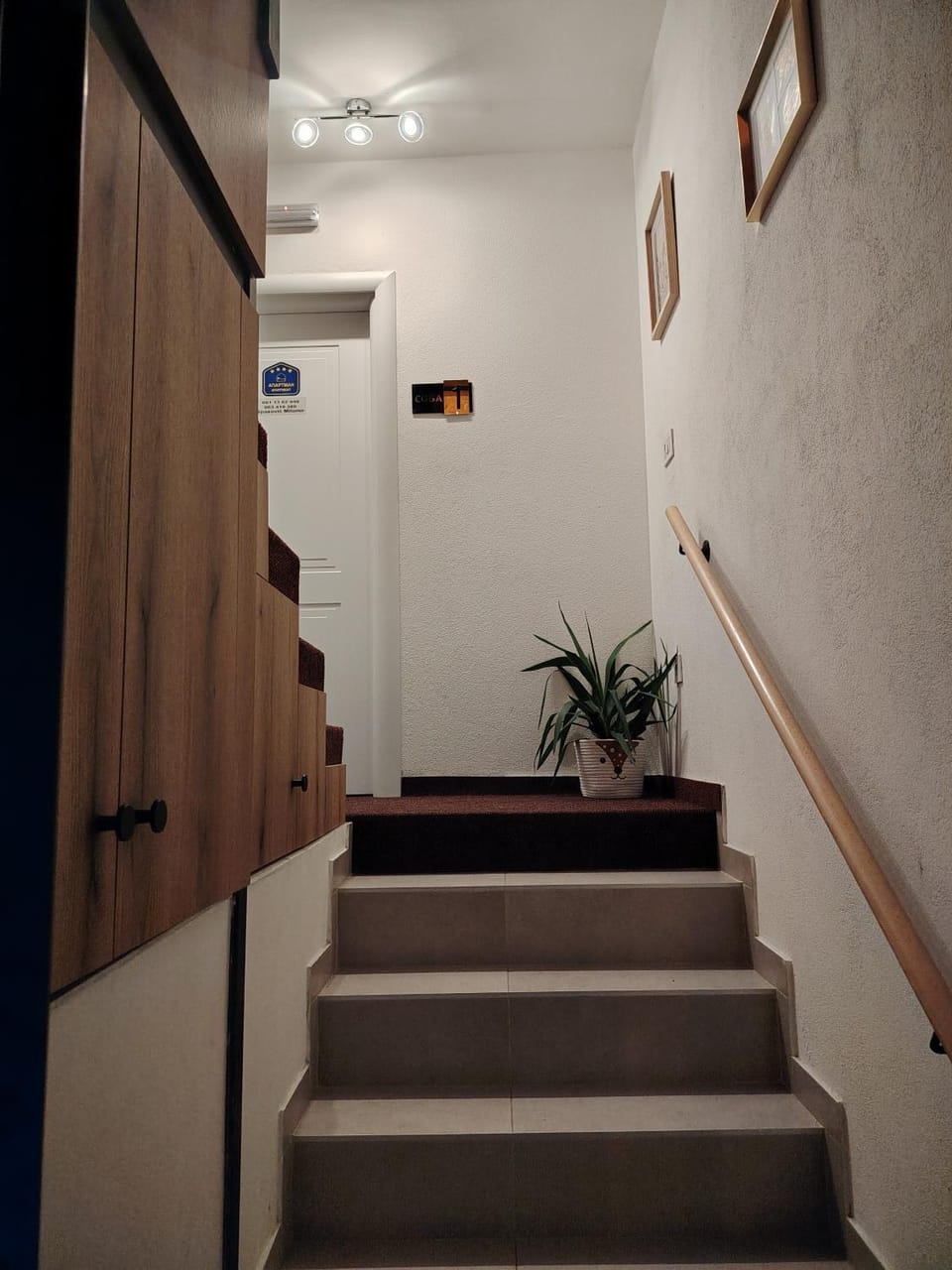 Staša Apartmani Apartment in Serbia