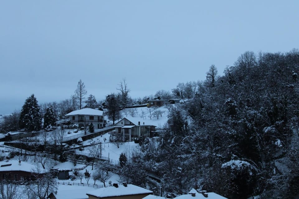Natural landscape, Winter, View (from property/room)