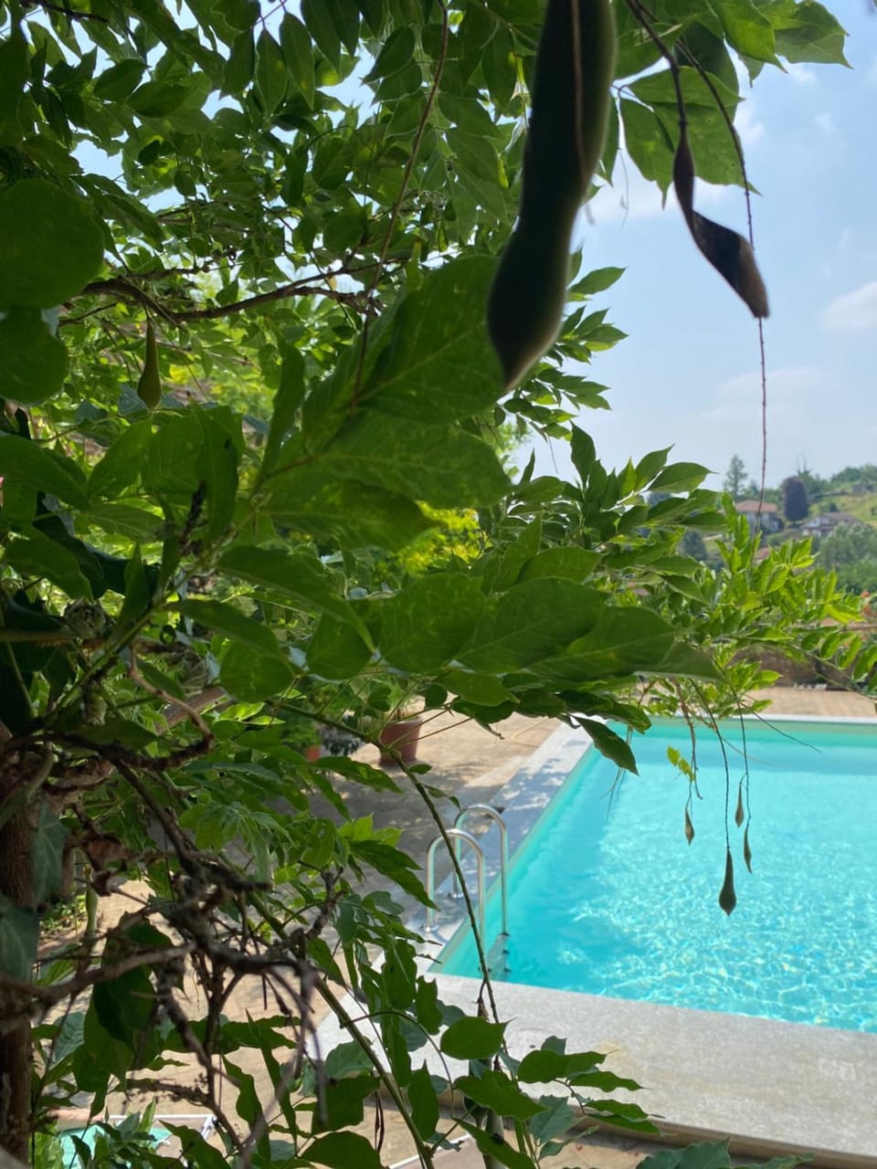 Spring, Day, Natural landscape, Garden, Garden view, Pool view, Swimming pool