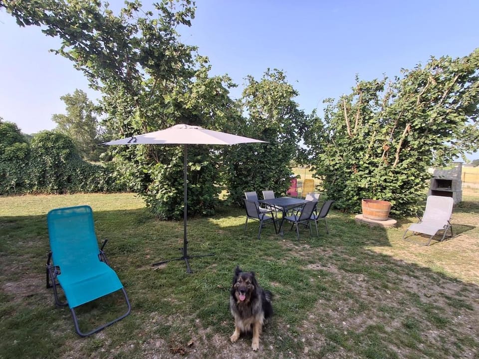 Charming country house near Saint-Emilion House in Nouvelle-Aquitaine
