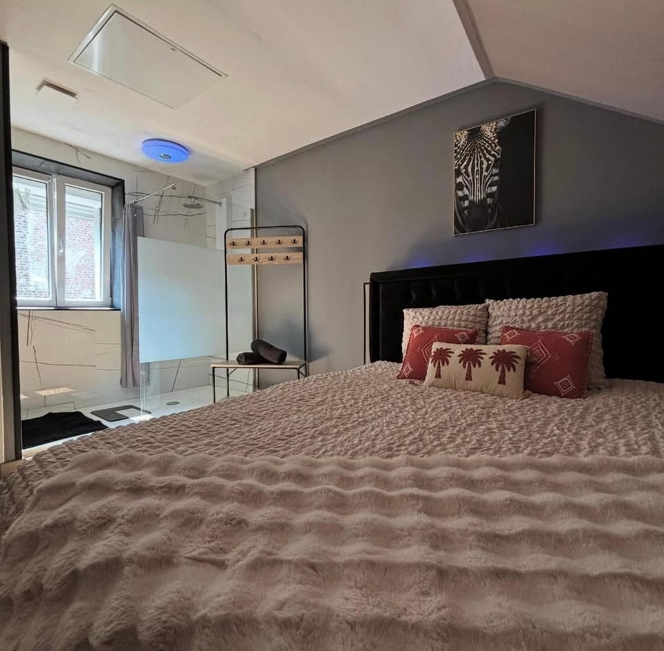 Ô Saphir Spa - Maison N3 Apartment in Hauts-de-France