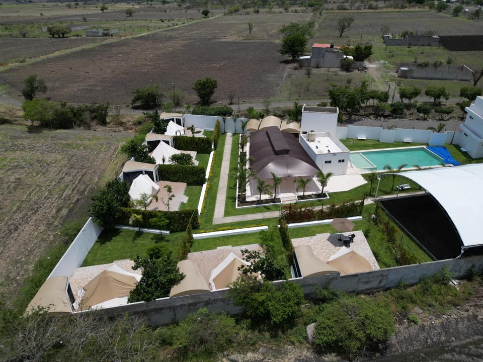 Bird's eye view, Garden