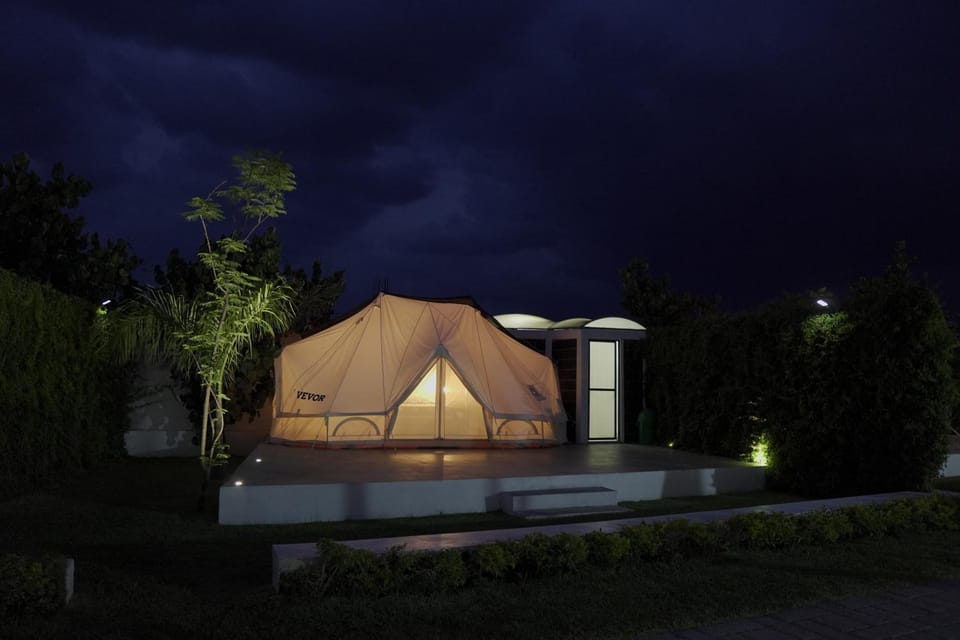 Night, Garden